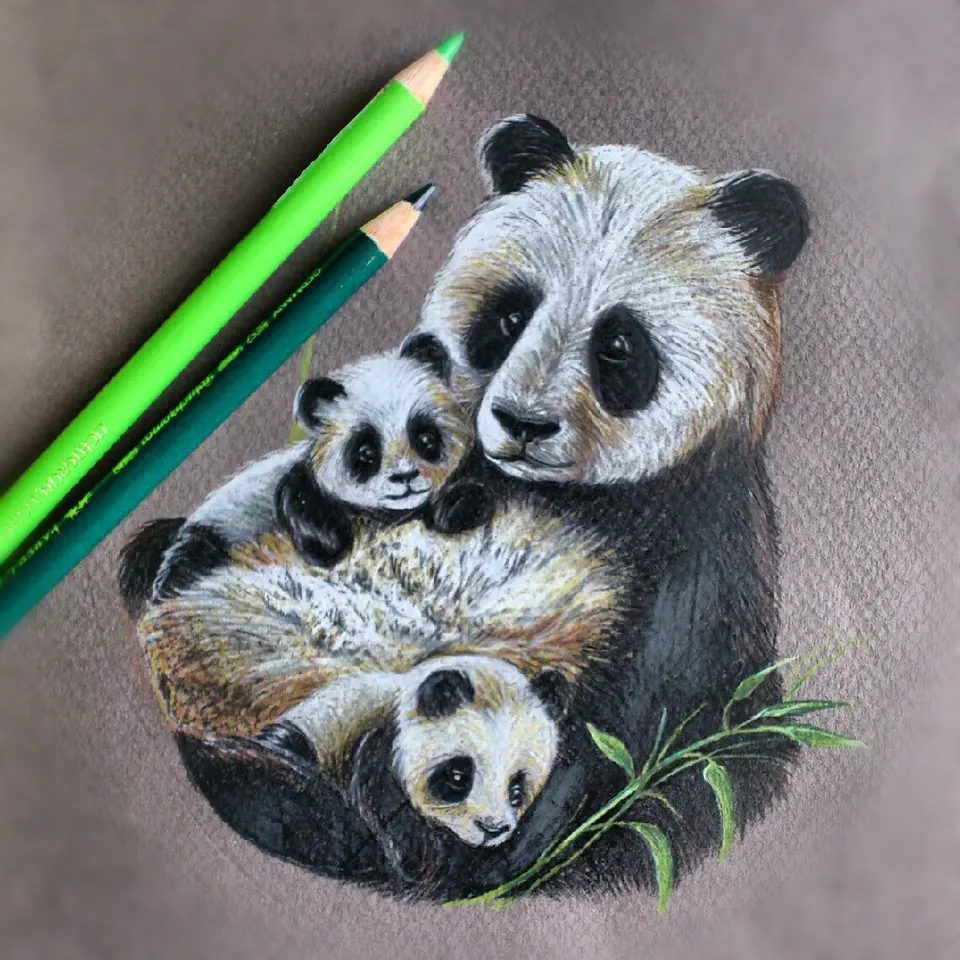 Buntstiftzeichnung einer Pandamutter mit zwei Jungen