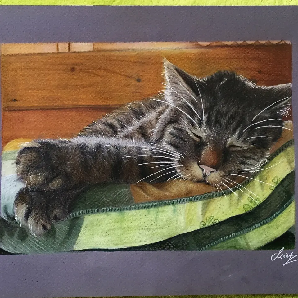 Buntstiftzeichnung einer schlafenden getigerten Katze