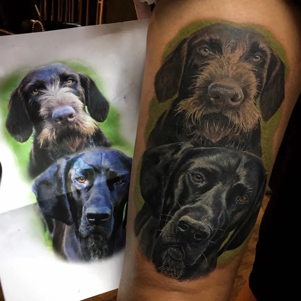Hunde-Portrait-Tattoo nach Fotovorlage: zwei Hunde