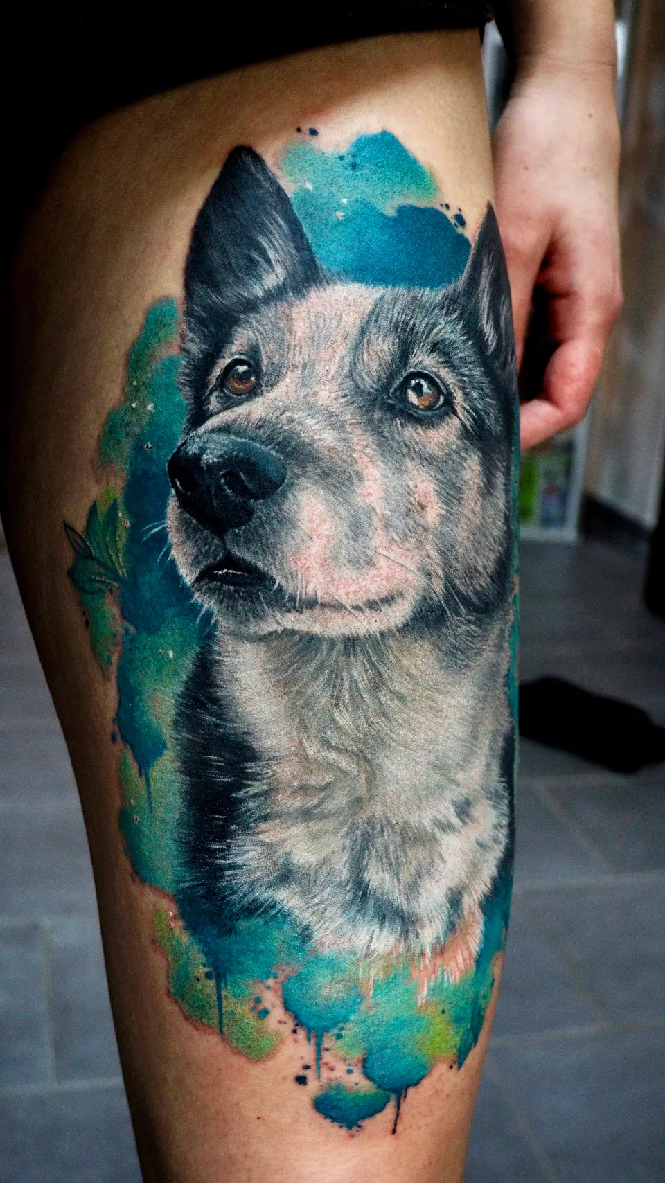 Husky-Tattoo mit türkisem Aquarell-Hintergrund
