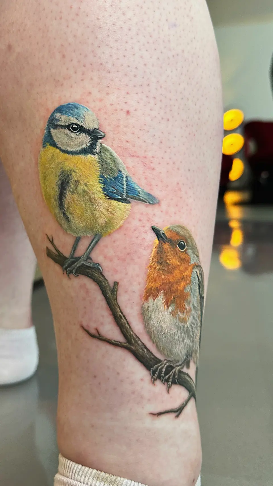 Blaumeise und Rotkehlchen auf einem Ast als Waden-Tattoo