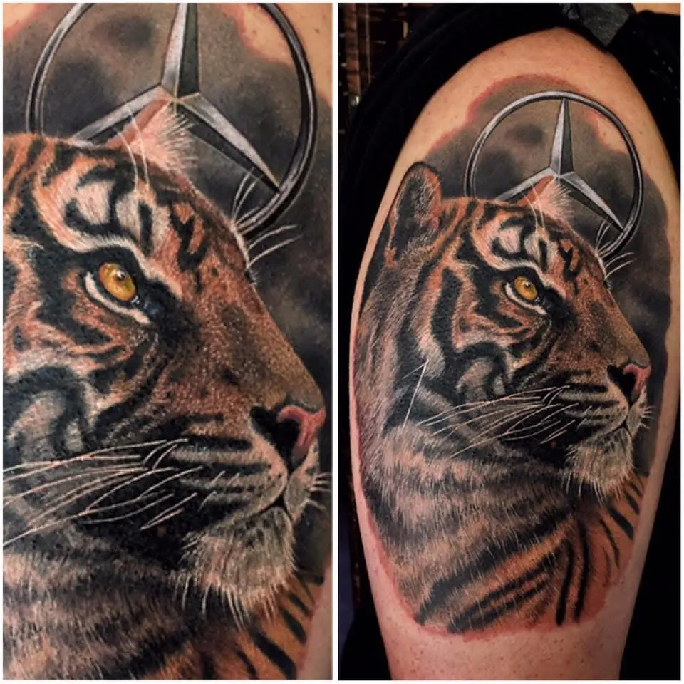 Tiger-Portrait-Tattoo mit Mercedes-Stern